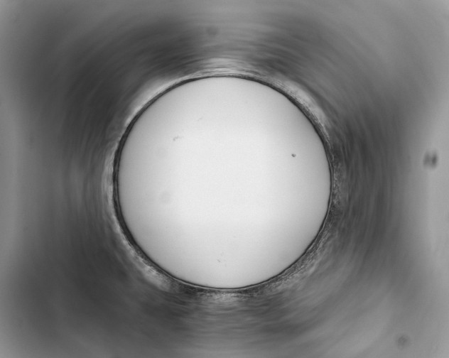 X0000103481431200810031533