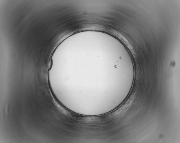 X0000103481433200810031533