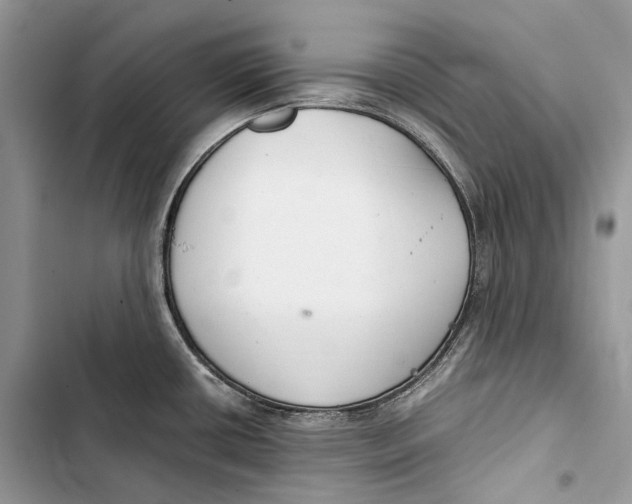 X0000103481434200810031533