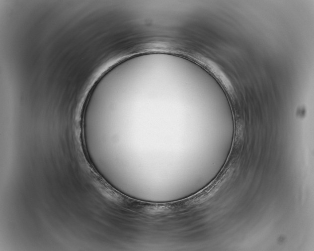 X0000103481435200810031533