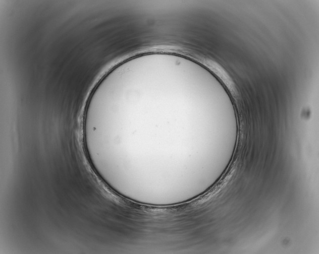 X0000103481436200810031533