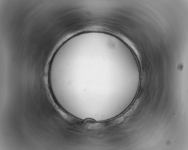 X0000103481437200810031533