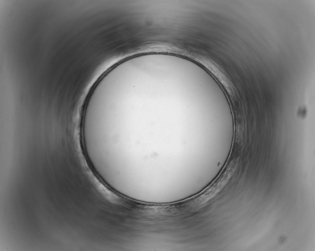 X0000103481438200810031533