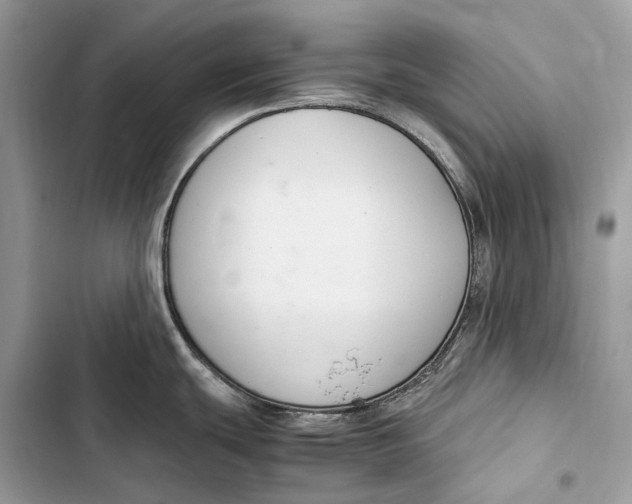 X0000103481439200810031533