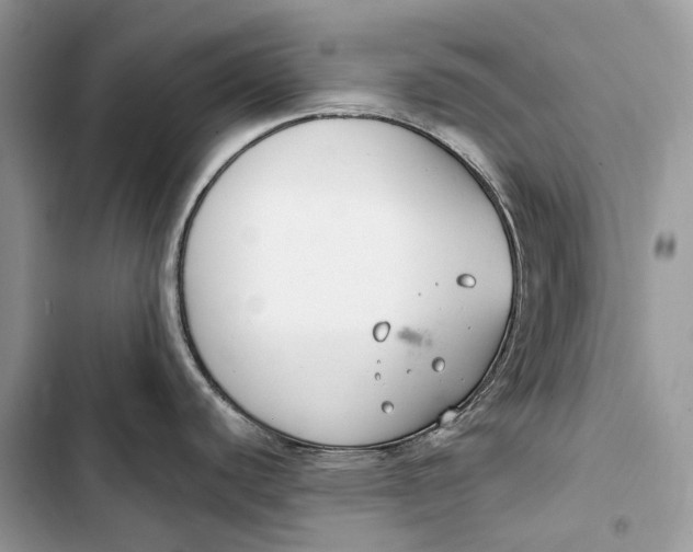 X0000103481440200810031533