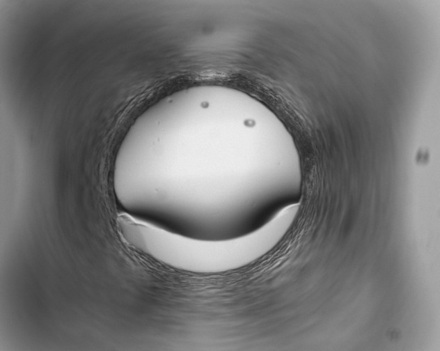 X0000103481441200810031532