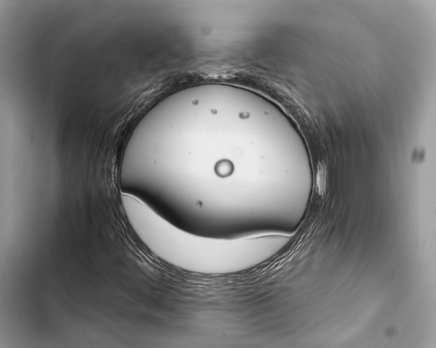 X0000103481444200810031532