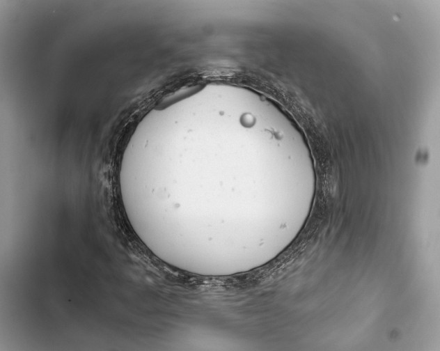 X0000103481445200810031532