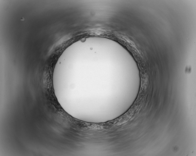 X0000103481446200810031532