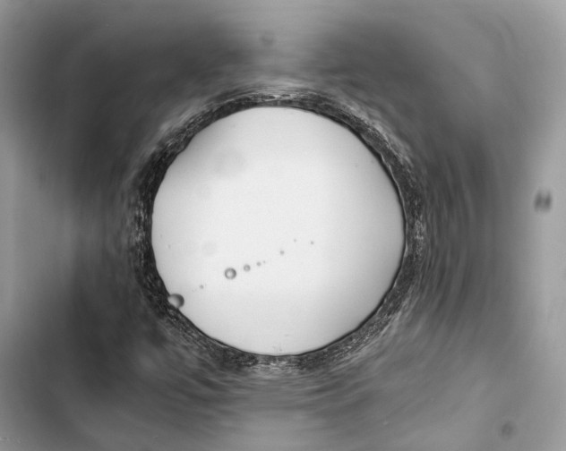 X0000103481447200810031532