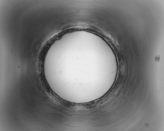 X0000103481448200810031532