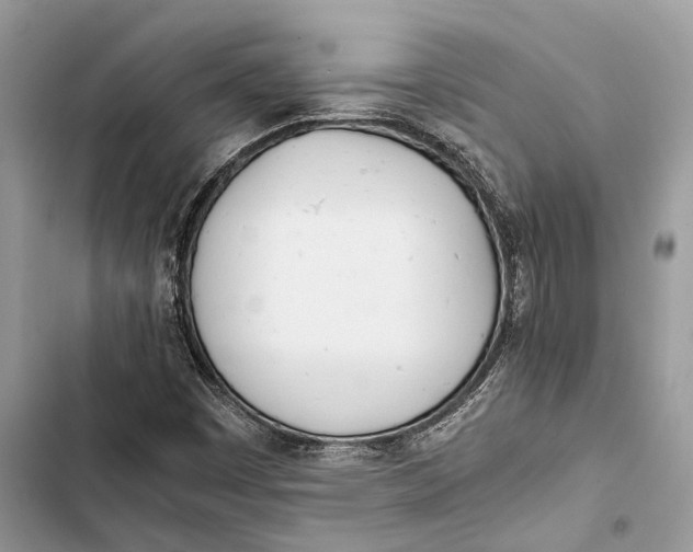 X0000103481449200810031532