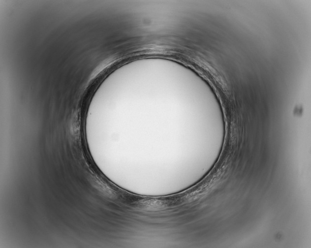 X0000103481450200810031532