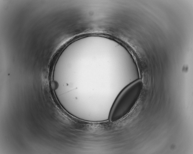 X0000103481452200810031532