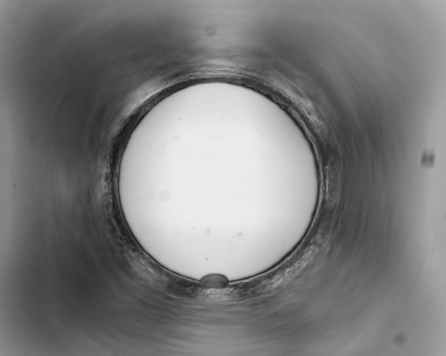 X0000103481453200810031532