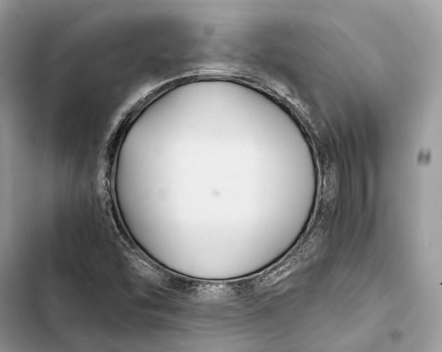 X0000103481454200810031532