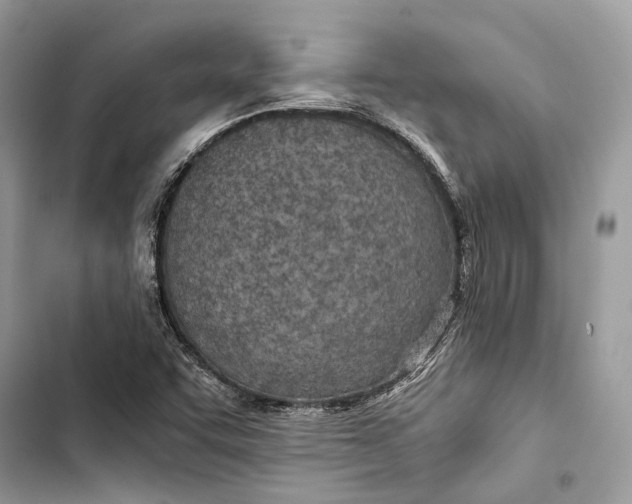 X0000103481455200810031532