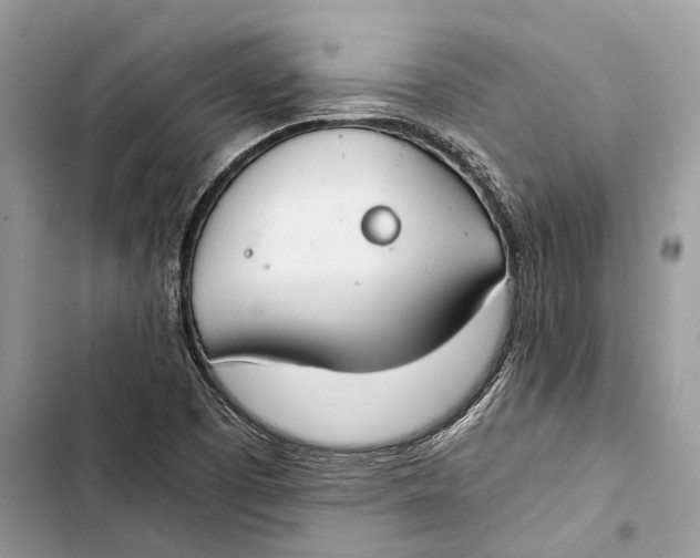 X0000103481457200810031532