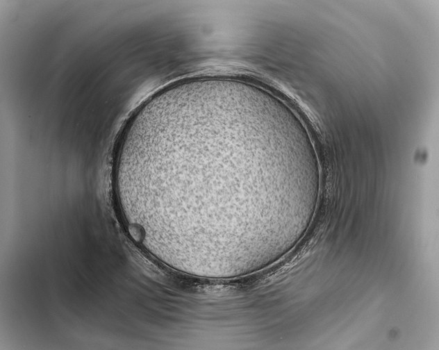 X0000103481459200810031532