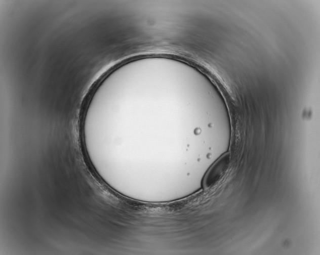 X0000103481460200810031532