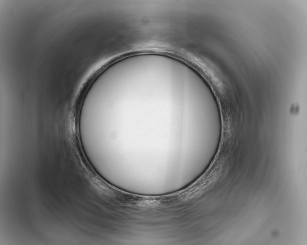 X0000103481462200810031532