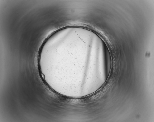 X0000103481463200810031532