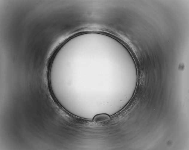 X0000103481464200810031532