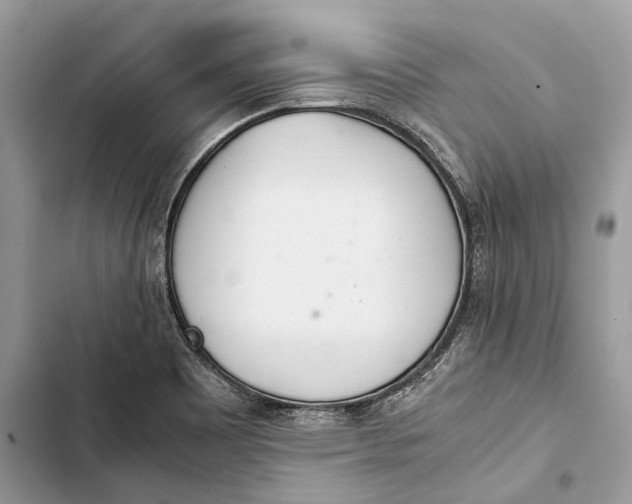 X0000103481465200810031532