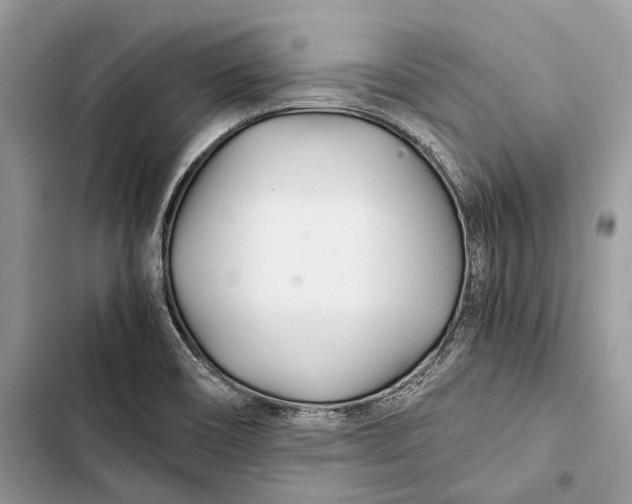 X0000103481466200810031532