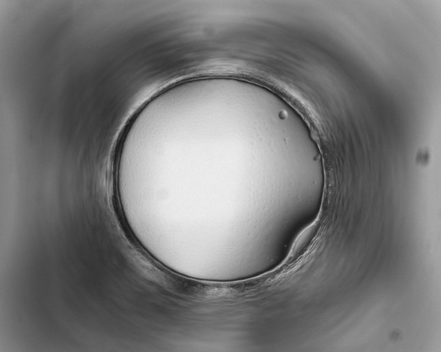 X0000103481467200810031532