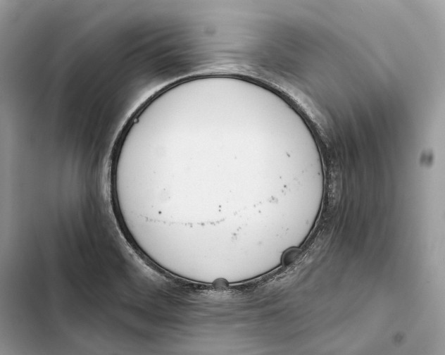 X0000103481468200810031532