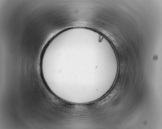 X0000103481469200810031532