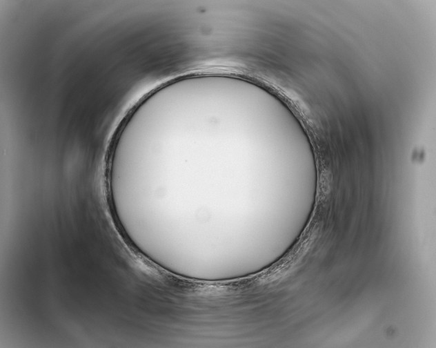 X0000103481470200810031532