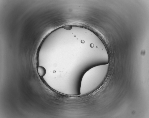 X0000103481471200810031532