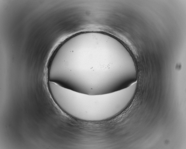 X0000103481472200810031532