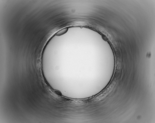 X0000103481473200810031532