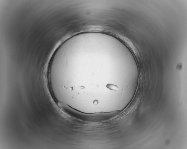 X0000103481475200810031532