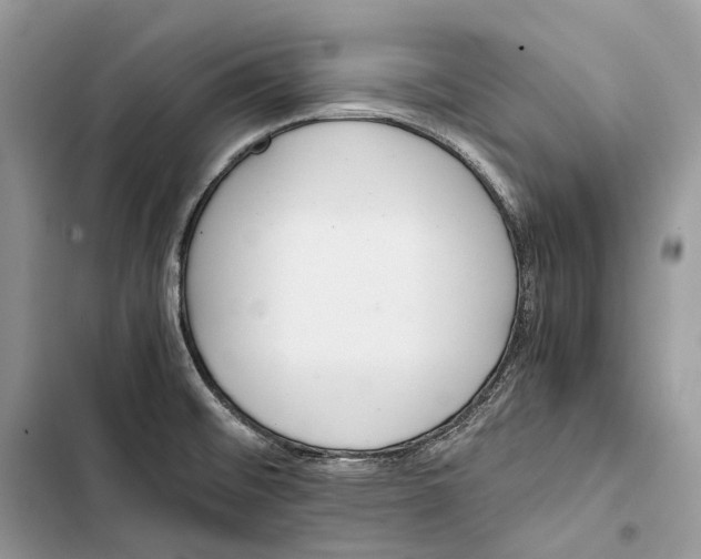 X0000103481476200810031532