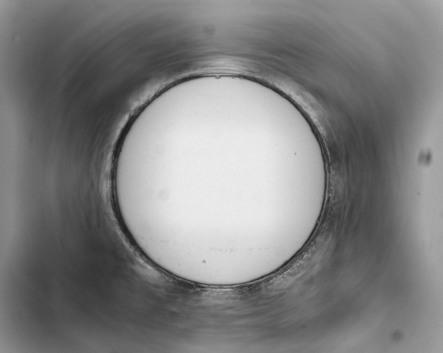 X0000103481477200810031532