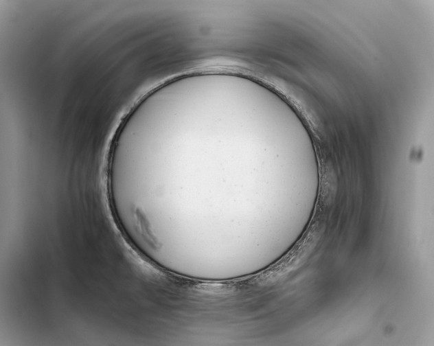 X0000103481478200810031531