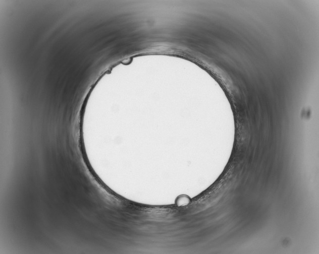 X0000103481479200810031531