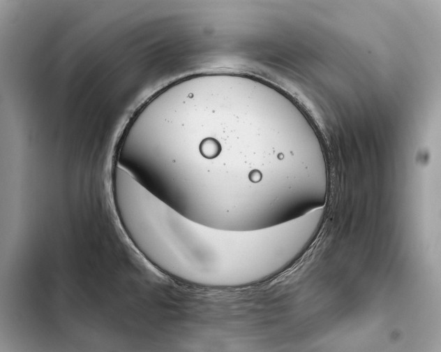 X0000103481480200810031531