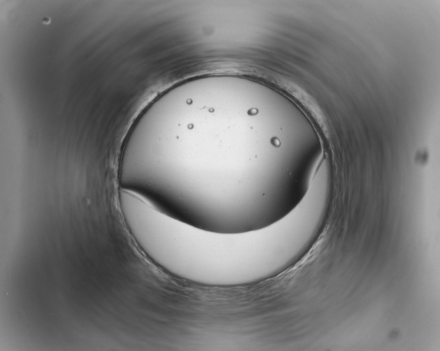 X0000103481481200810031531