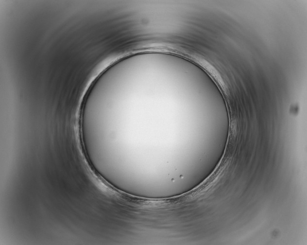 X0000103481482200810031531