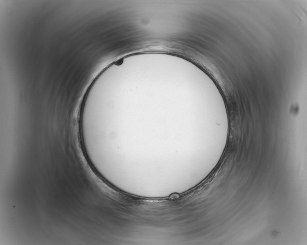 X0000103481483200810031531