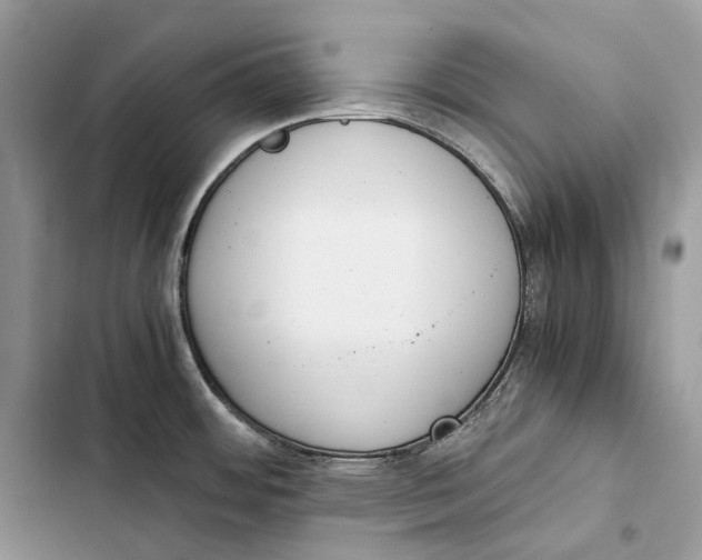 X0000103481484200810031531