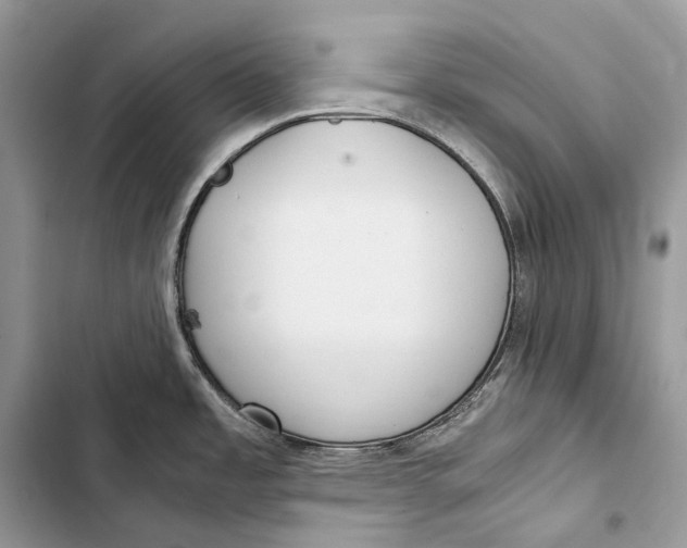 X0000103481485200810031531