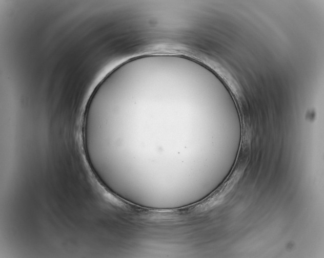 X0000103481486200810031531