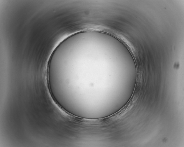 X0000103481487200810031531