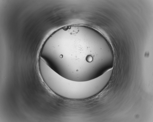 X0000103481488200810031531